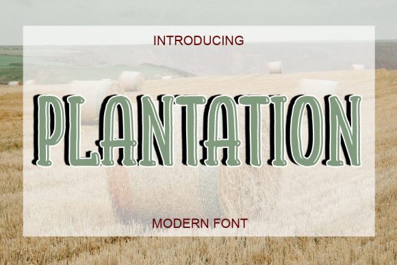 Plantation Font: Bold & Friendly Design
